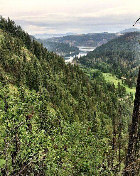 Beauty Bay, Lake Coeur d' Alene from Caribou Ridge Trail