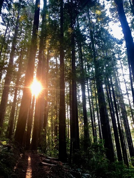 Sunset approaches as I head south of the campground road and just east of Highway 101.