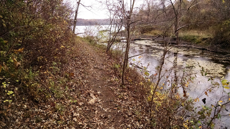 Head along a cove.