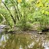 Woodlands Park & Nature Preserve... easy trail loop around the park and creek/lake area.