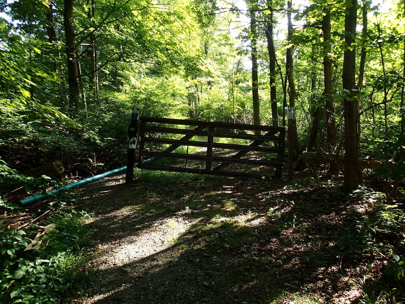 Start of School Mountain Road Trail and Fahnestock Trail.