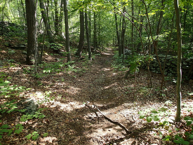 Sections of the trail is lined with a stone wall on either side.