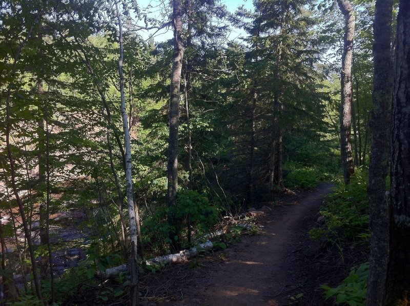 Looking down the Lester River (on left)