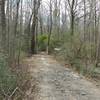 The trail entrance from Butch Kennedy Trailhead is found down the hill from the parking area. Difficult to see from parking area.