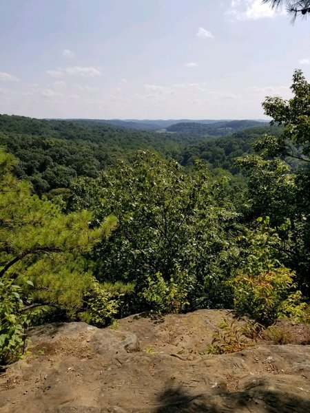 Overlook at Jacobs Ladder (1184 ft) on the Christmas Rock Trail (Orange Loop).