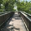 Boardwalk section of Life on the Marsh Trail.