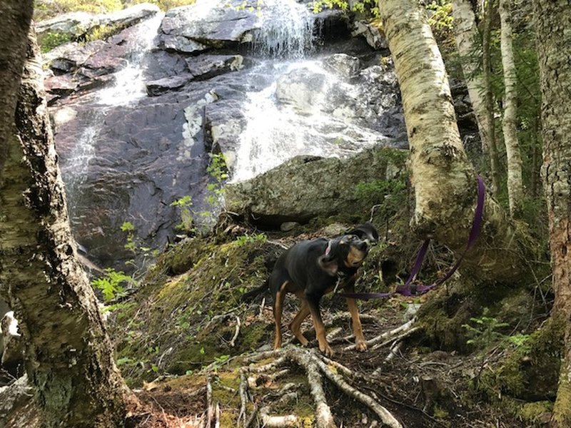 Fletcher's Cascade - Final Waterfall