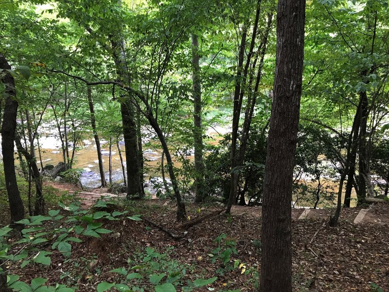 Trail down to the canoe launch