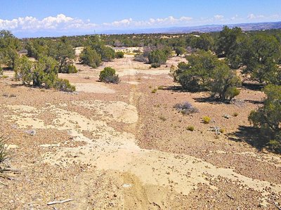 On the mesa top there are sections of slickrock and gravel