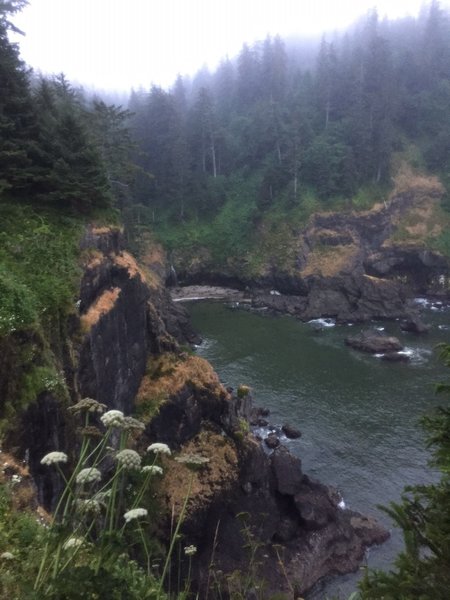 A view of Hart's Cove from the meadow at the end of the Hart's Cove Trail.