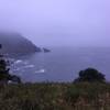 A view of the fog and the ocean from the Hart's Cove Trail