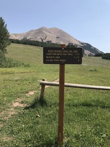 Trailhead at La Sal Pass with beautiful view of Mt. Peale.