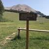 Trailhead at La Sal Pass with beautiful view of Mt. Peale.