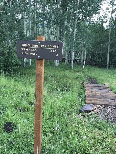 Turn around point of the Burlfriends Trail.