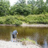 Wassataquoit Stream crossing near Wassataquoit Stream shelter.