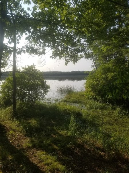 Marl Lake at trailhead