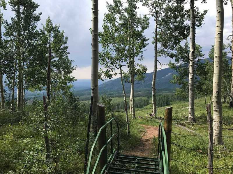 Beautiful apline views abound from this trail