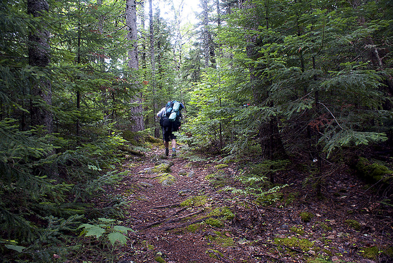 Along the trail