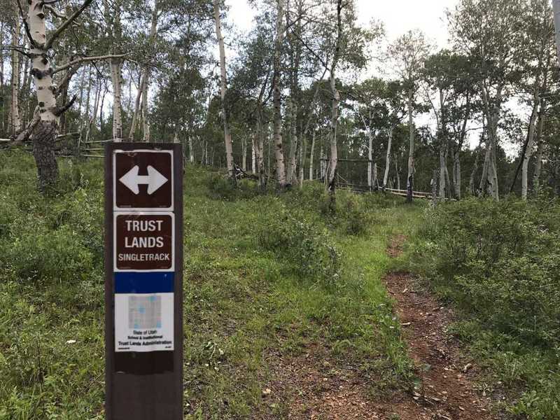 Look for these markers along the trail to stay on track