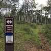 Look for these markers along the trail to stay on track