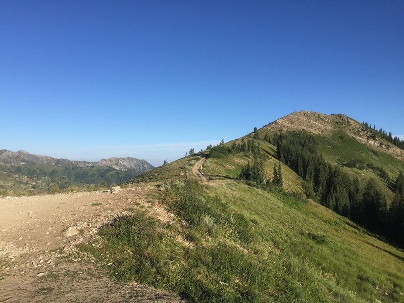 Atop Puke Hill—Well worth the trail up!