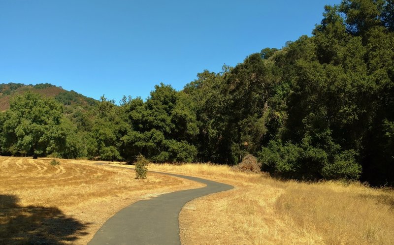 The paved, flat path and scenery of Llagas Creek Loop Trail in Rancho Canada del Oro Open Space Preserve.