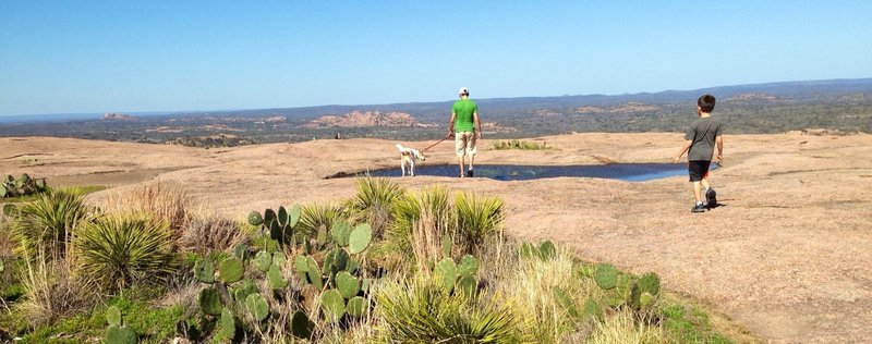 Up on the summit.... just after a rain ...little dog paw dipping pools form