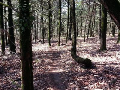 One of the flatter sections.