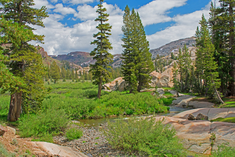 Entrance to Lunch Meadows which is filled with colorful flowers. Notice the divide between metamorphic rock on the left and in the background and granite on the right