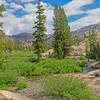 Entrance to Lunch Meadows which is filled with colorful flowers. Notice the divide between metamorphic rock on the left and in the background and granite on the right