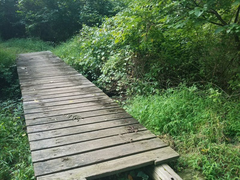 Well maintained water crossings throughout trails.