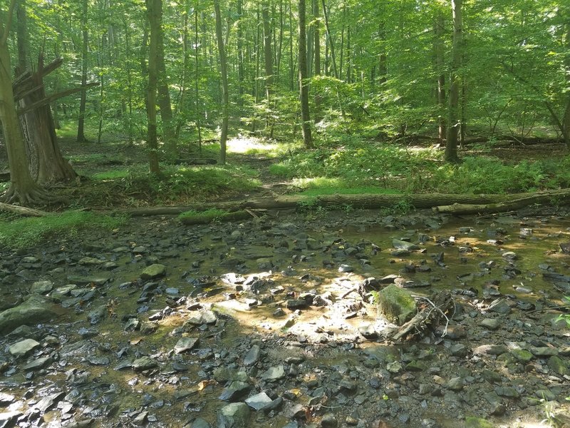 One of several small un-improved water crossings