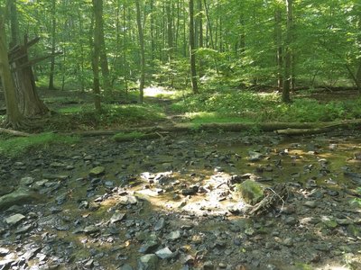 One of several small un-improved water crossings