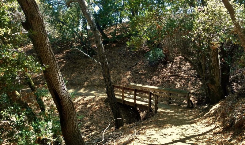 A wooded section of Longwall Canyon Trail crosses a stream