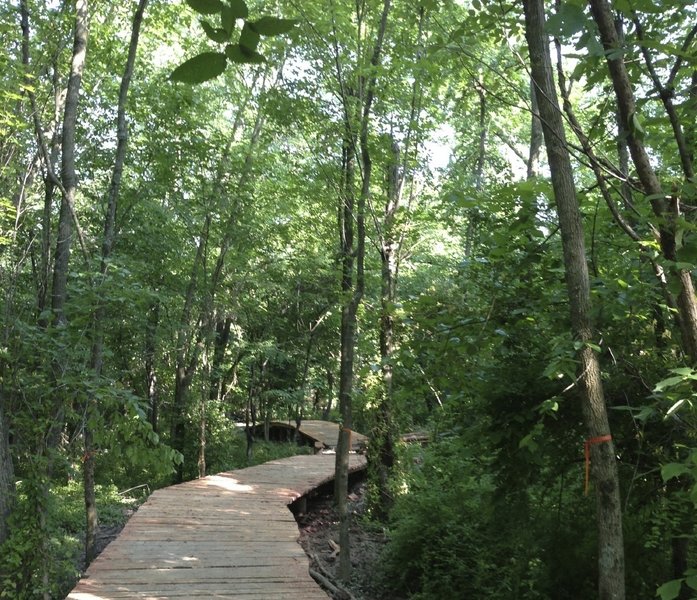 A 350-ft cedar boardwalk, very nice.