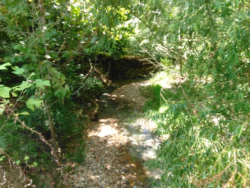 Close view of Hare Snipe Creek