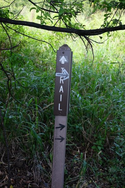 Trail marker