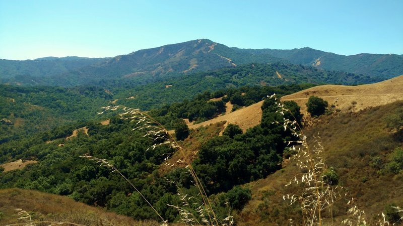 Loma Prieta at 3 786 ft. and other Santa Cruz Mountains are the