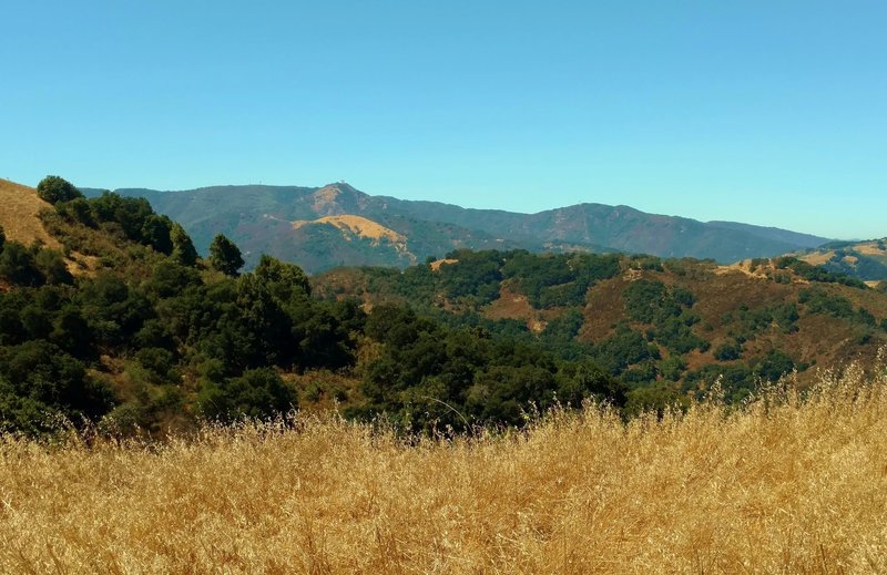 Mt. Umunhum of the Santa Cruz Mountains, in the distance (left center) when looking west from Bald Peaks Trail.