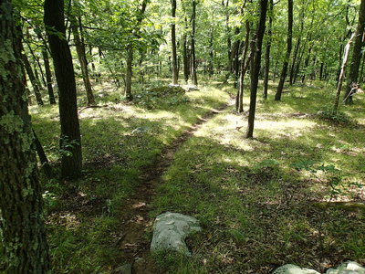 Cresting East Mountain