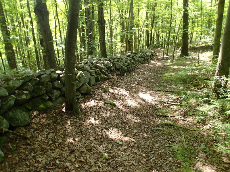 Old stone wall along the East Mountain Loop Trail