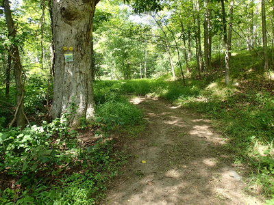 Start/End of the New Hubbard Loop Trail