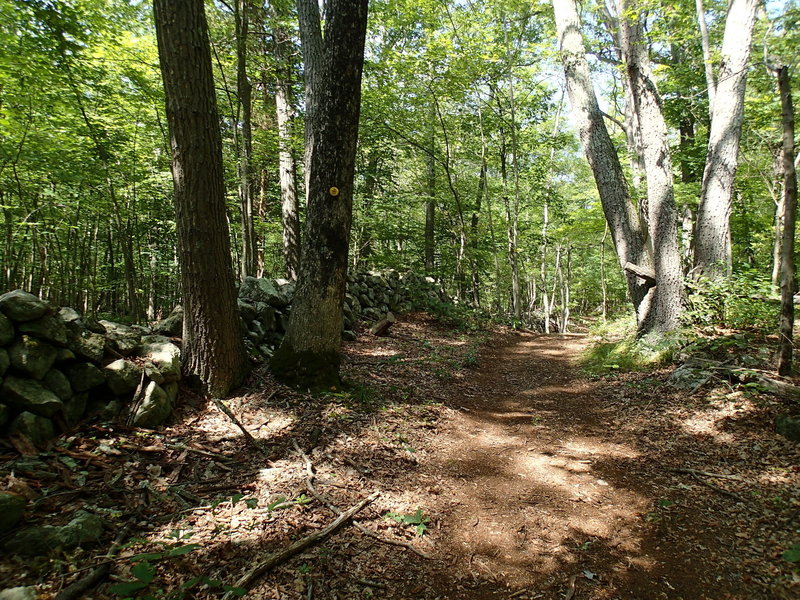 Old stone wall along the Hubbard Loop Trail