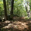 Old stone wall along the Hubbard Loop Trail