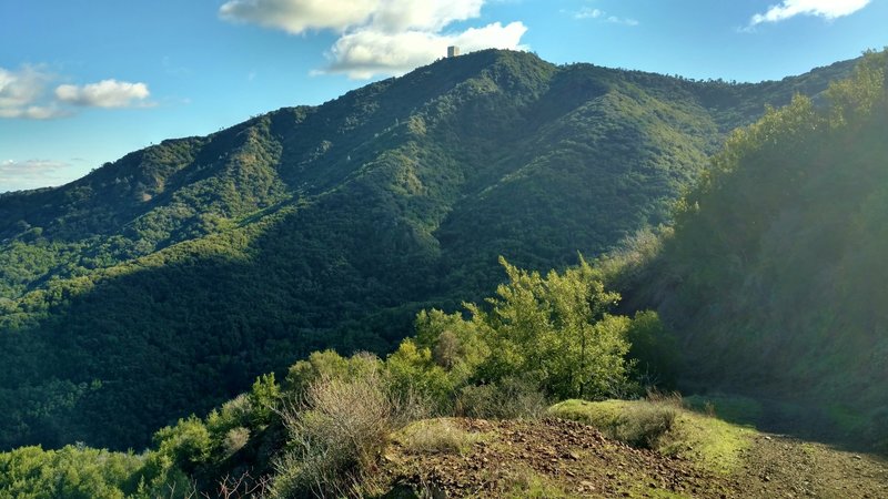 Mt. Umunhum, 3,488 ft., as seen from the north