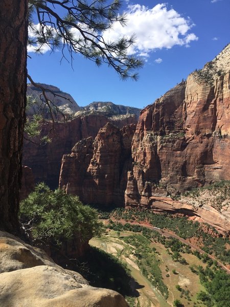 On lookout above Hidden Canyon - Wheeping Rock in bottom right of photo