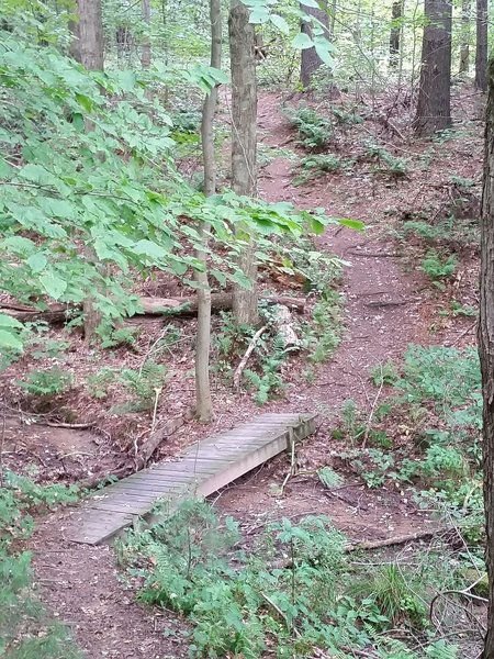 One of the foot bridges along the Glacier Ridge Trail