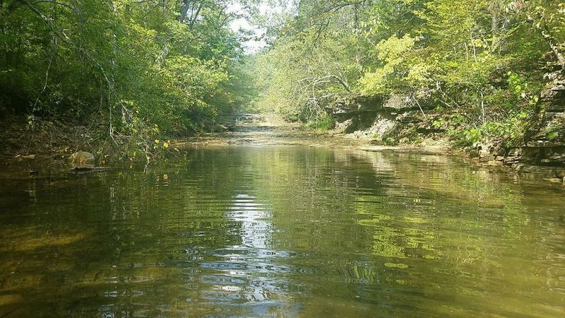 Small cascade upstream from primary creek crossing.