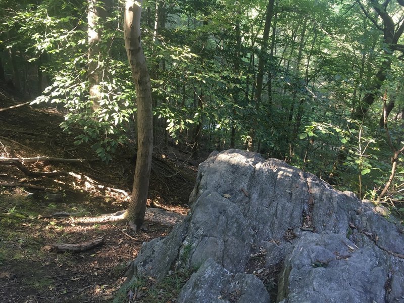 Top side of the large boulders along Pennypack Creek