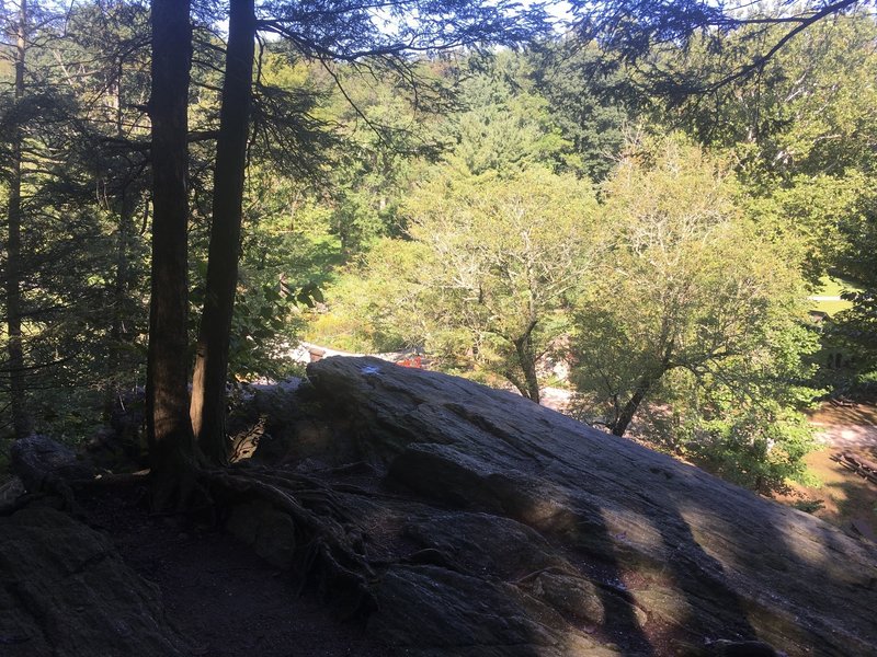 A look below from the top of the large boulders along Pennypack Creek